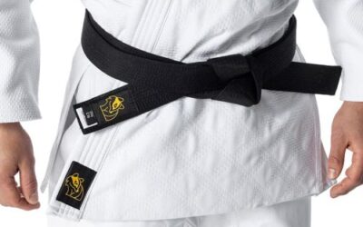 KIMONO APPROVED IJF, WKF, NEBO ITF APOD. SI POŘIĎTE, AŽ NA NĚJ PŘIJDE ŘADA